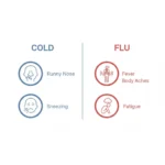 cold or flu