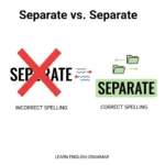 seperate or separate