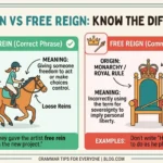free rein vs free reign