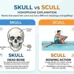 skull vs scull