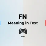FN Meaning in Text