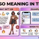 ptso meaning in text