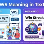 ws meaning in text