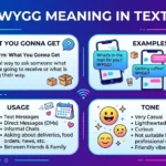 wygg meaning in text