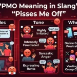 pmo meaning slang