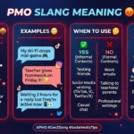 pmo slang