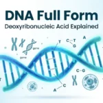 dna full form
