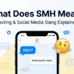 what does smh mean